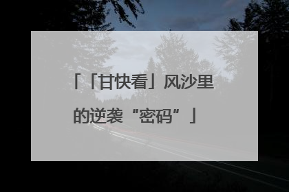 「甘快看」风沙里的逆袭“密码”