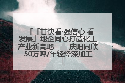 「甘快看·强信心 看发展」地企同心打造化工产业新高地——庆阳同欣50万吨/年轻烃深加工项目建设见闻