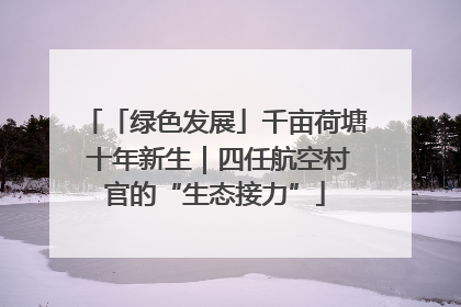 「绿色发展」千亩荷塘 十年新生｜四任航空村官的“生态接力”