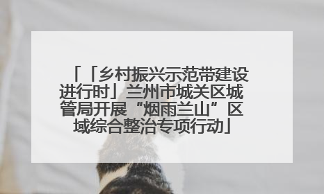 「乡村振兴示范带建设进行时」兰州市城关区城管局开展“烟雨兰山”区域综合整治专项行动