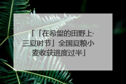 「在希望的田野上·三夏时节」全国夏粮小麦收获进度过半