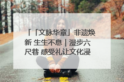 「文脉华章」非遗焕新 生生不息｜漫步六尺巷 感受礼让文化浸润的“巷”往生活