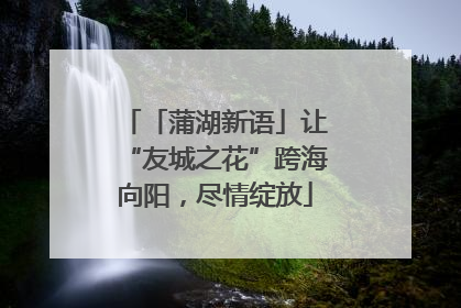 「蒲湖新语」让“友城之花”跨海向阳，尽情绽放
