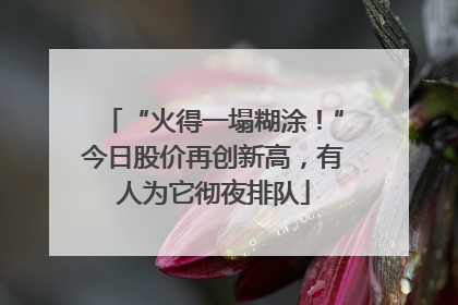 “火得一塌糊涂！”今日股价再创新高，有人为它彻夜排队