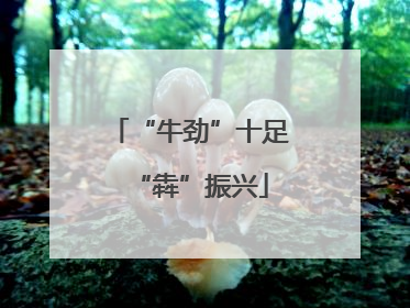 “牛劲”十足“犇”振兴