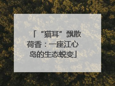 “猫耳”飘散荷香：一座江心岛的生态蜕变