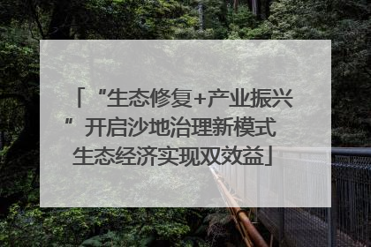“生态修复+产业振兴”开启沙地治理新模式 生态经济实现双效益
