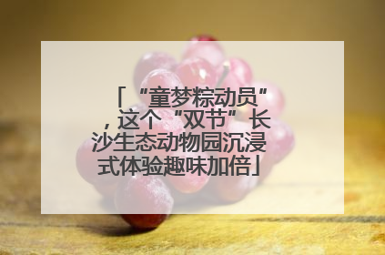 “童梦粽动员”，这个“双节”长沙生态动物园沉浸式体验趣味加倍