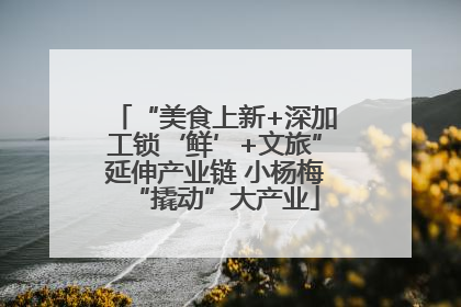 “美食上新+深加工锁‘鲜’+文旅”延伸产业链 小杨梅“撬动”大产业