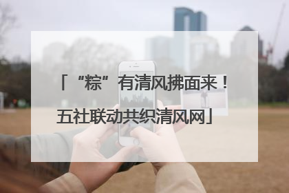“粽”有清风拂面来！五社联动共织清风网