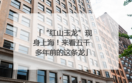 “红山玉龙”现身上海！来看五千多年前的这条龙