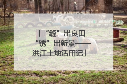 “缝”出良田 “锈”出新景——洪江土地活用记