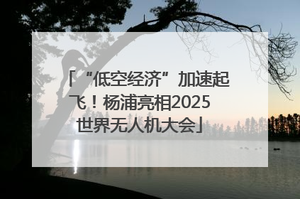 “低空经济”加速起飞！杨浦亮相2025世界无人机大会