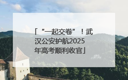 “一起交卷”！武汉公安护航2025年高考顺利收官