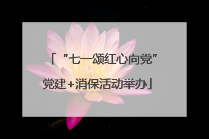 “七一颂红心向党”党建+消保活动举办