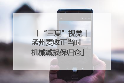 “三夏”视觉｜孟州麦收正当时 机械减损保归仓