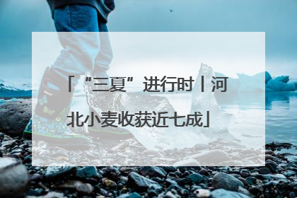 “三夏”进行时丨河北小麦收获近七成