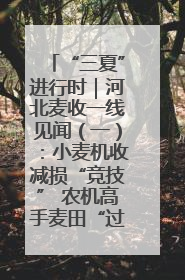 “三夏”进行时｜河北麦收一线见闻（一）：小麦机收减损“竞技” 农机高手麦田“过招”