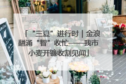 “三夏”进行时｜金浪翻涌“智”收忙——我市小麦开镰收割见闻