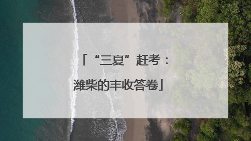 “三夏”赶考：潍柴的丰收答卷
