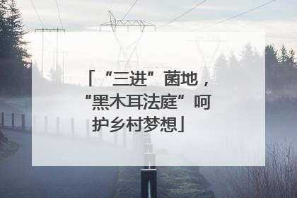 “三进”菌地，“黑木耳法庭”呵护乡村梦想
