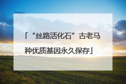 “丝路活化石”古老马种优质基因永久保存