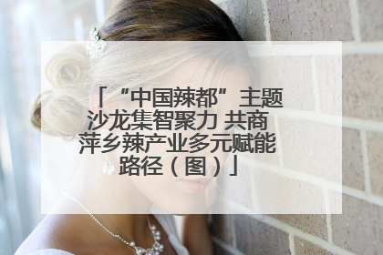 “中国辣都”主题沙龙集智聚力 共商萍乡辣产业多元赋能路径（图）