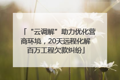 “云调解”助力优化营商环境，20天远程化解百万工程欠款纠纷