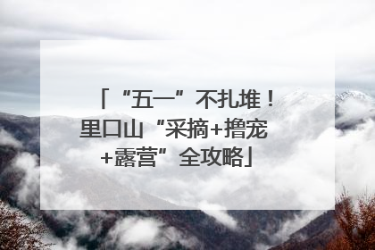 “五一”不扎堆！里口山“采摘+撸宠+露营”全攻略
