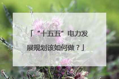 “十五五”电力发展规划该如何做？