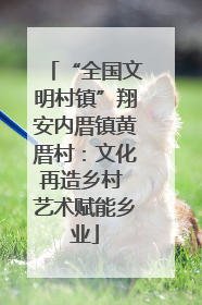 “全国文明村镇”翔安内厝镇黄厝村：文化再造乡村 艺术赋能乡业