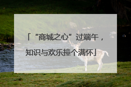 “商城之心”过端午，知识与欢乐撞个满怀