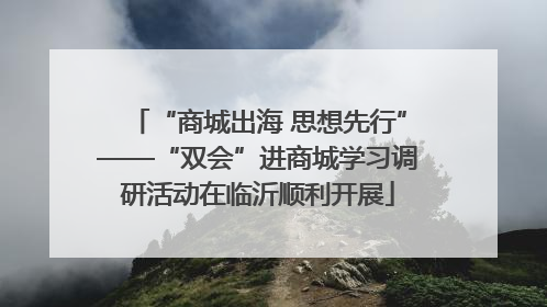 “商城出海 思想先行”——“双会”进商城学习调研活动在临沂顺利开展