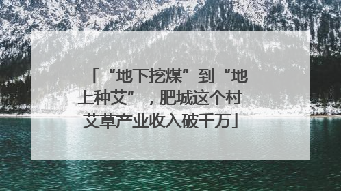 “地下挖煤”到“地上种艾”，肥城这个村艾草产业收入破千万