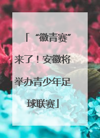 “徽青赛”来了！安徽将举办青少年足球联赛