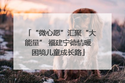 “微心愿”汇聚“大能量” 福建宁德情暖困境儿童成长路