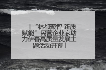“林都聚智 新质赋能”民营企业家助力伊春高质量发展主题活动开幕