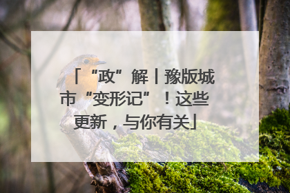 “政”解丨豫版城市“变形记”！这些更新，与你有关