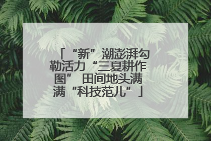“新”潮澎湃勾勒活力“三夏耕作图” 田间地头满满“科技范儿”