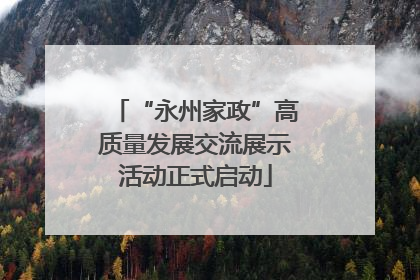 “永州家政”高质量发展交流展示活动正式启动