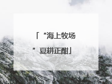 “海上牧场”夏耕正酣