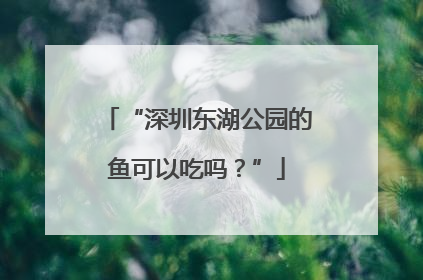“深圳东湖公园的鱼可以吃吗？”