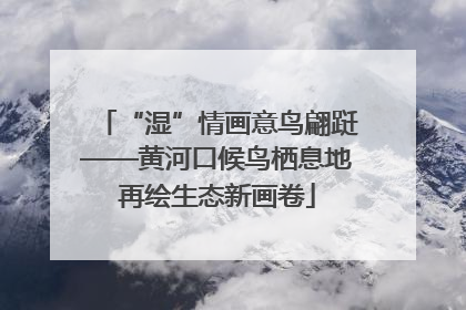 “湿”情画意鸟翩跹——黄河口候鸟栖息地再绘生态新画卷
