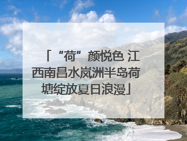 “荷”颜悦色 江西南昌水岚洲半岛荷塘绽放夏日浪漫