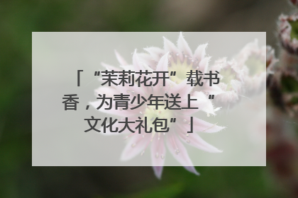 “茉莉花开”载书香，为青少年送上“文化大礼包”