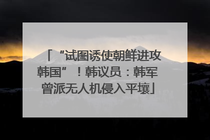 “试图诱使朝鲜进攻韩国”！韩议员：韩军曾派无人机侵入平壤