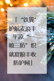 “铁翼”护航麦浪丰 平凉“一喷三防”织就夏粮丰收防护网