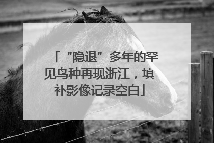 “隐退”多年的罕见鸟种再现浙江，填补影像记录空白