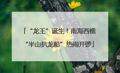 “龙王”诞生！南海西樵“半山扒龙船”热闹开锣