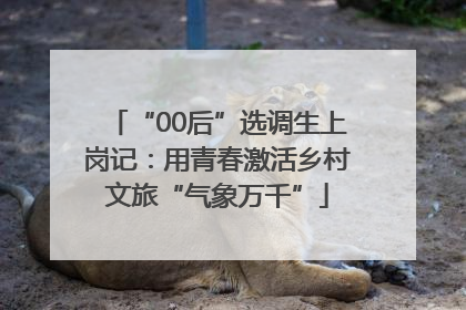 “00后”选调生上岗记：用青春激活乡村文旅“气象万千”